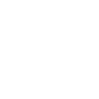 Skip Bins